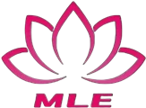 Ningbo  MLE  Elektros  Prietaisas  Co.,  Ltd.